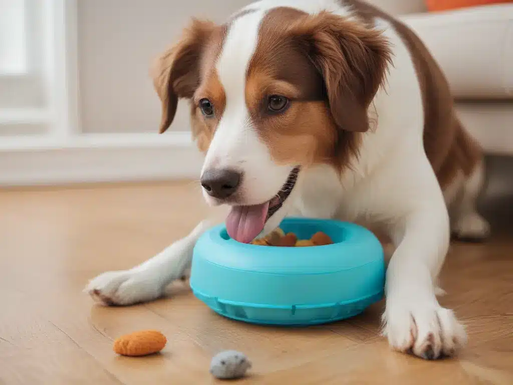 Fun Pet Toys That Wont Spread Mess Around the House