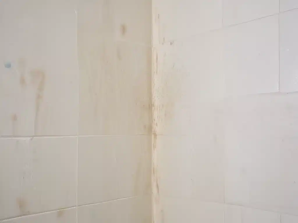 Conquer Shower Mould and Mildew for Good