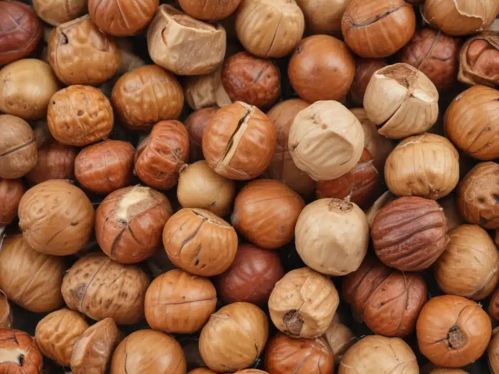 Soap Nuts for Gentle Laundry Cleaning