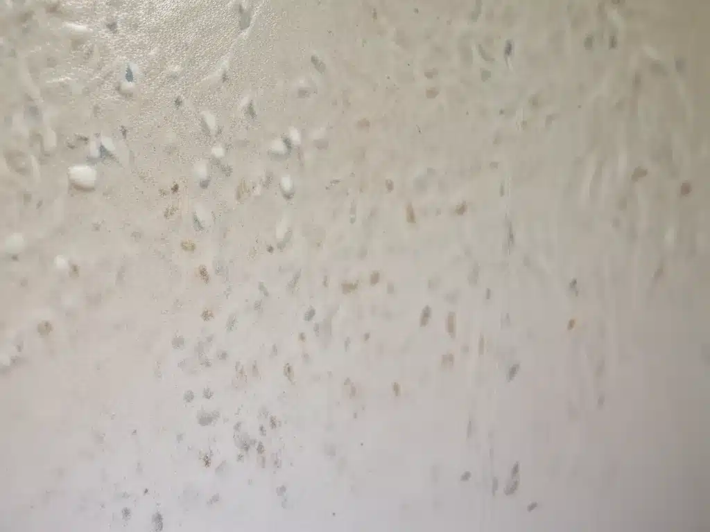 Surprising Item to Banish Mold and Mildew